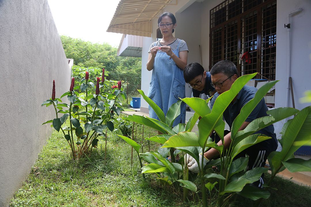 The land brought the Low family closer to each other. [Photo by  Low Siew Lian]